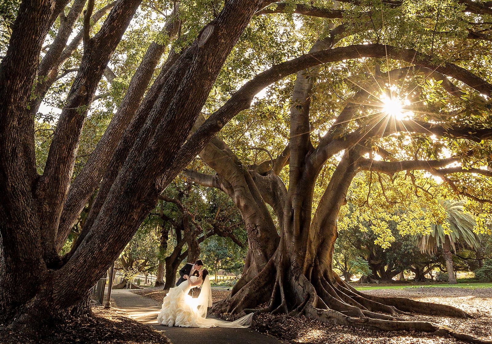 Hyde Park, Perth Wedding Photography by Peter Adams-Shawn